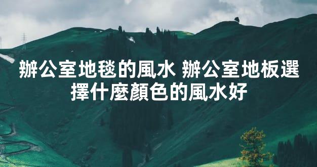 辦公室地毯的風水 辦公室地板選擇什麼顏色的風水好